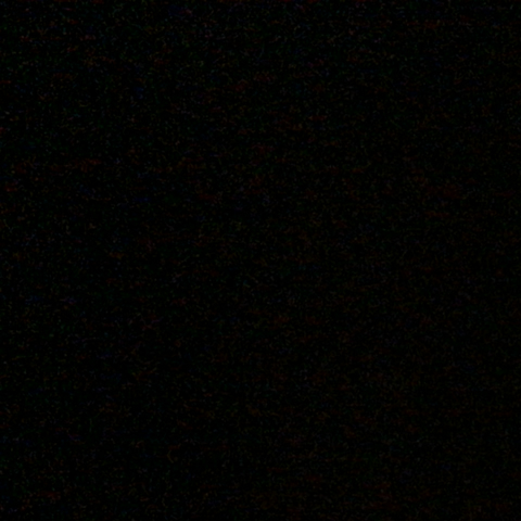 Image of Ally