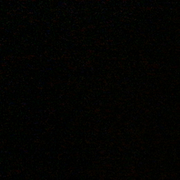 Image of Ally