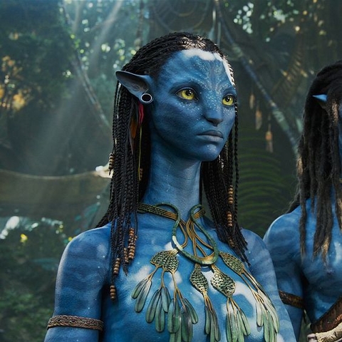 Image of Neytiri - Avatar